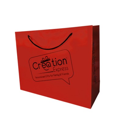 Cheap custom printing  colorful logo gift with cotton handle shopping bags paper bags printing